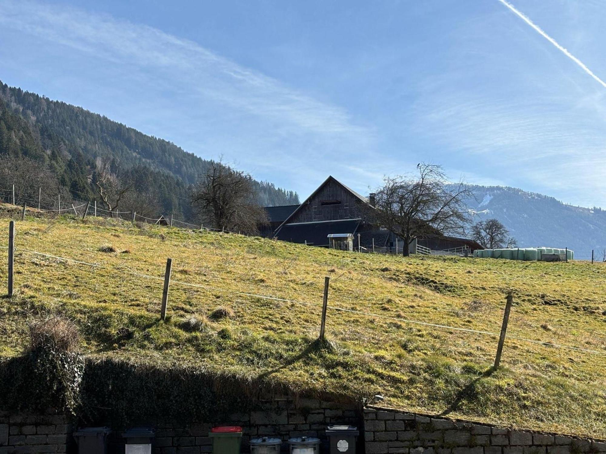Moderne-Ferienwohnung-Nur-1Km-Vom-Millstaetter-See-In-Kaernten-Entfernt 米尔施塔特 外观 照片